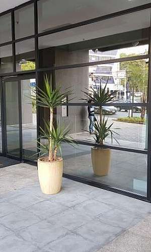 Pele vidro Pele vidro